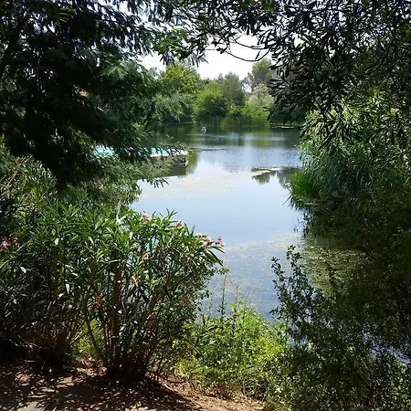 Villa Maison Du Lac *